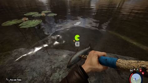 how to catch fish in sons of the forest|How to Catch Fish in Sons of the Forest .
